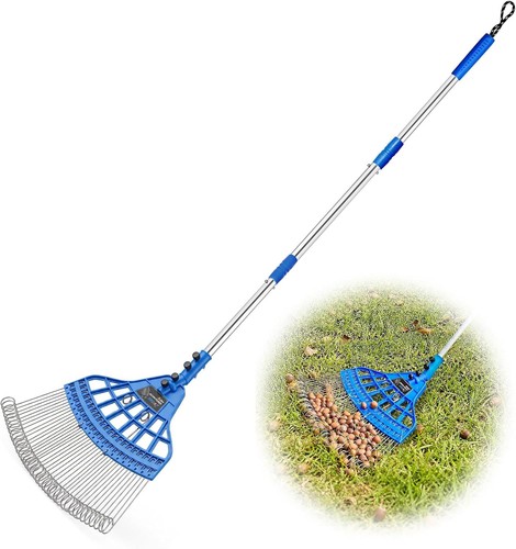 Zozen acorn gatherer yard - acorn, gatherer,