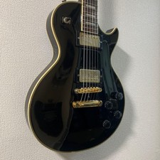 Burny Electric Guitar Safe