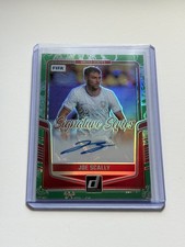 Joe Scally Dragon Scale Auto