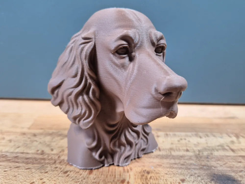 English setter bust - setter,