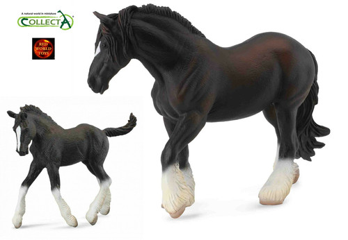 Black shire mare and - black,
