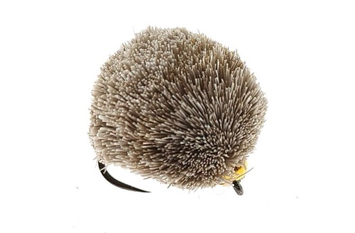Goldhead carp dog biscuit - goldhead,