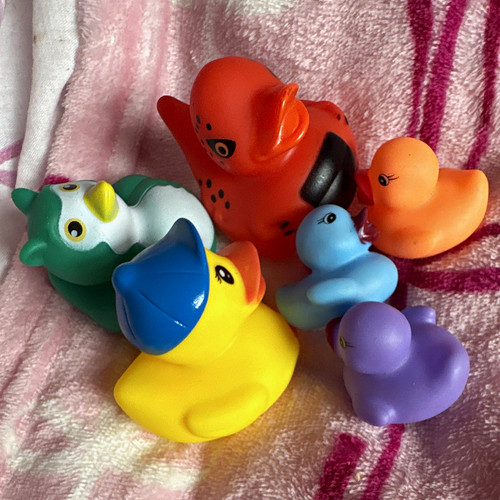 Multicoloured squeaky rubber - multicoloured,