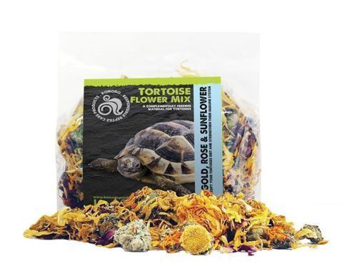 Komodo tortoise food - tortoise,
