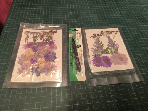 Dried pressed real - real, natural