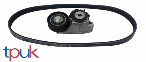 Power steering tensioner - steering,