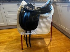 Amerigo Pinerolo dressage