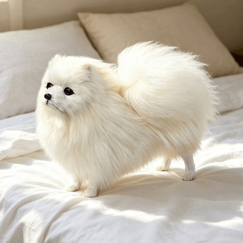 Realistic plush pomeranian - realistic, dog