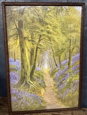 Vintage Framed Print ‘The Bluebell Carpet’ By Daniel Sherrin , 1950’s