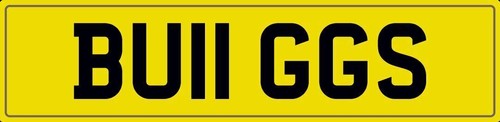 Bugs bugg number plate - bugs,