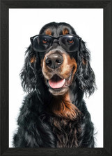 Cool Gordon Setter Dog in