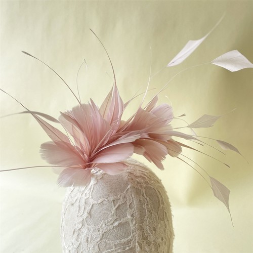 Goose coque feather - goose,