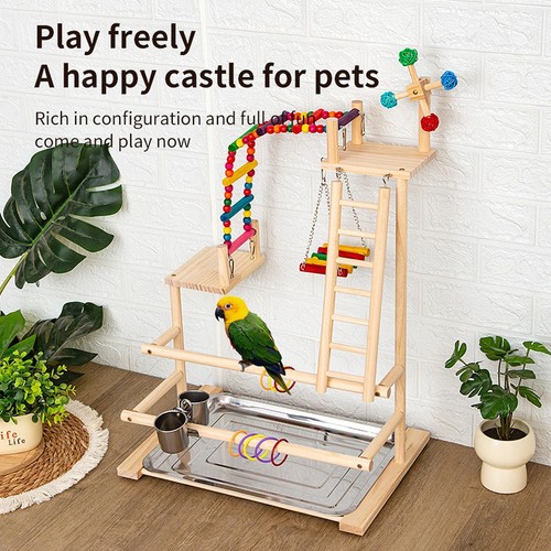 Bird playground playgym sturdy - bird,
