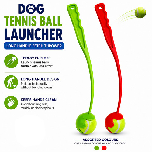 Dog tennis ball - tennis,