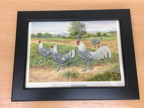 Gift idea for breed - for,