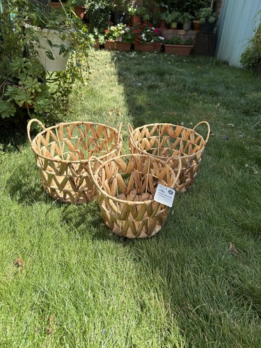 Nwt wilko set - of, 3