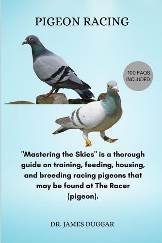 James duggar pigeon racing - pigeon,