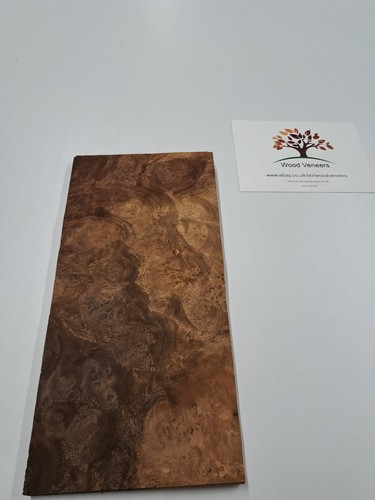 Burr walnut veneer 1 natural - walnut,