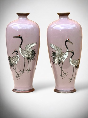 Fine pair cloisonné - a,