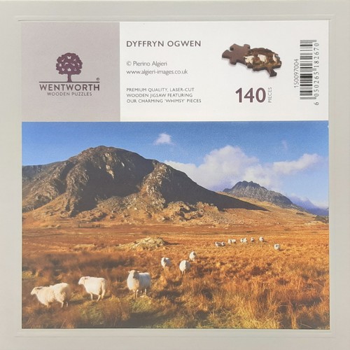 Wentworth wooden puzzles - wooden,