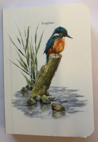 New small kingfisher design - small,