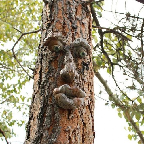 Funny old man tree - old, hugger