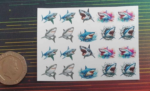 Great white shark - great,
