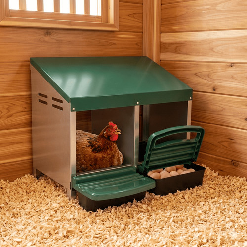 Chicken nesting box - box, 2