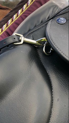 Breast plate clips - breast, (pair)