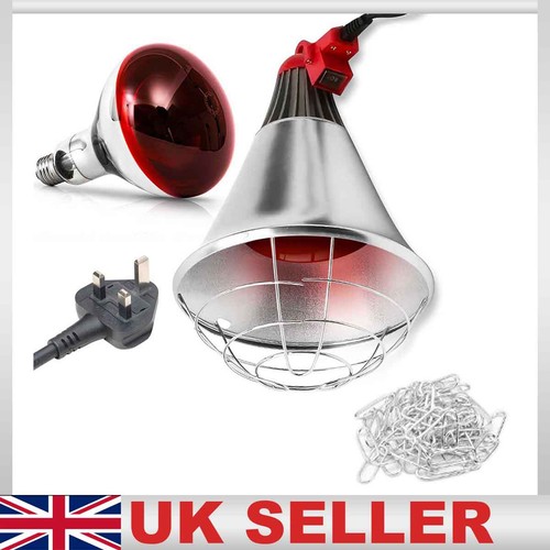 250w infrared heat lamp - lamp, with