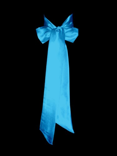 Turquoise satin wedding fancy - turquoise,