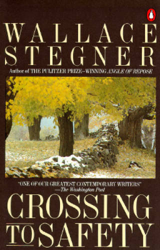 Crossing safety paperback - to,