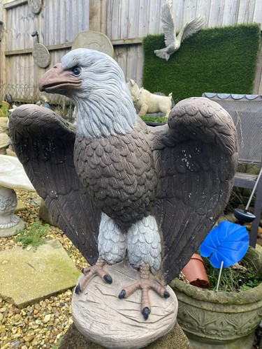 Nice size eagle latex - a, and