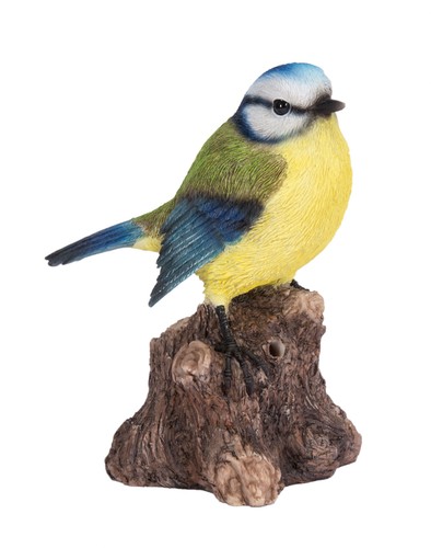 Blue tit bird stump - on,