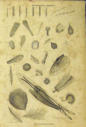 Original old antique print - old,