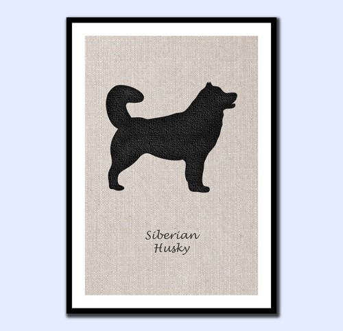 Siberian husky art print - husky,