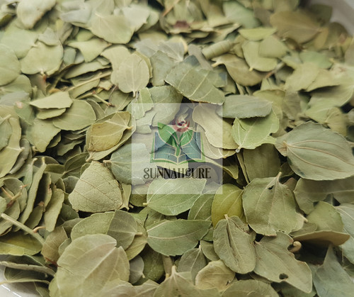 Sidr leaves jujube - leaves,,