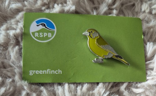 Rspb bird pin badge - pin,