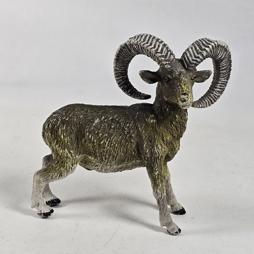 Big horn sheep aaa animal - aaa,
