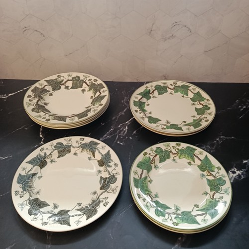 Wedgwood napoleon ivy - x,