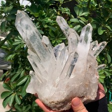 6.05LB A+++Large Natural white Crystal Himalayan quartz cluster /mineralsls
