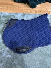 Evolution Horse Spine