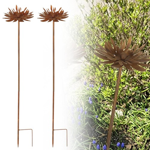 Rusty cornflower garden - cornflower,