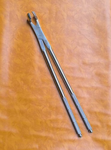 Molar equine dental forceps - molar,