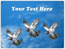 PERSONALISED PIGEON LOFT SHED