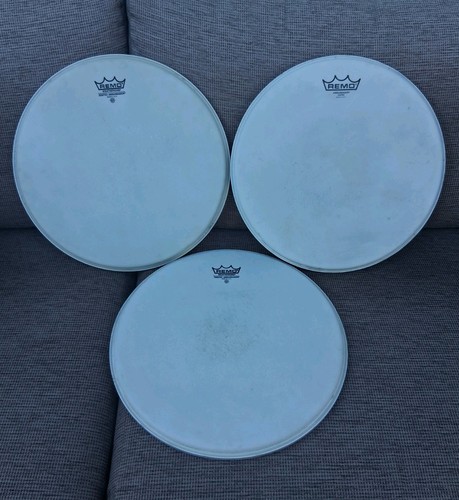 Remo ambassador heads - 3, heads.