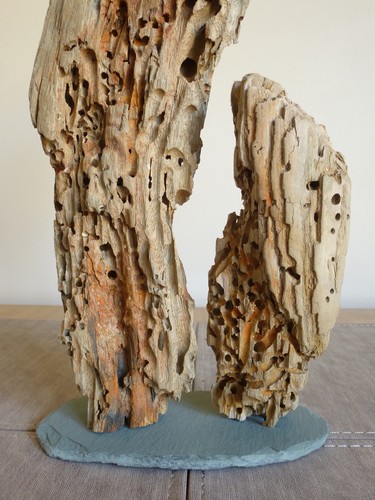 Driftwood sculpture 30cm high - sculpture,