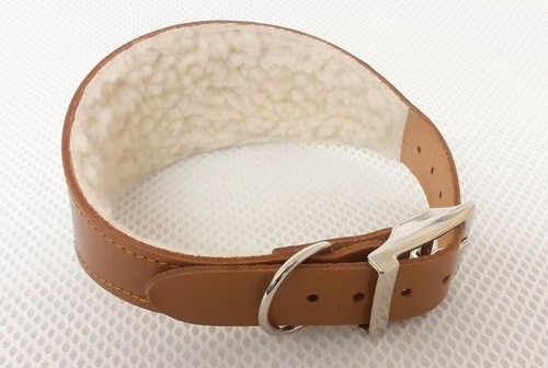 Leather greyhound lurcher - leather, greyhound/lurcher