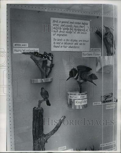 1965 press photo wisconsin - 1965,