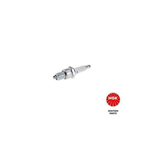 7529 ngk spark plug for - for, alfa